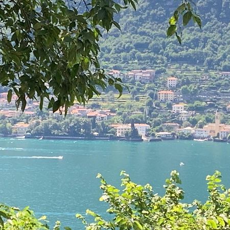 Apartment Casa Dono Il Lago Pognana Lario Exteriér fotografie