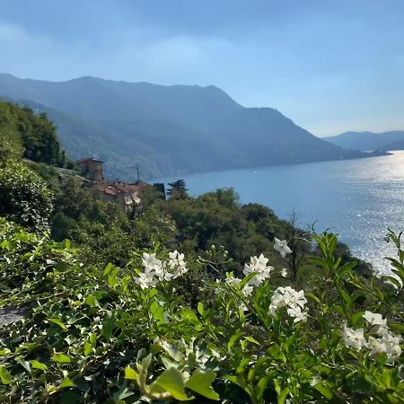 Apartment Casa Dono Il Lago Pognana Lario Exteriér fotografie