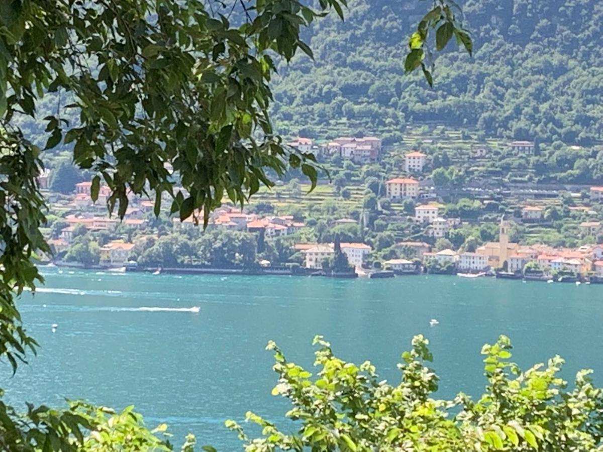 Apartment Casa Dono Il Lago Pognana Lario Exteriér fotografie