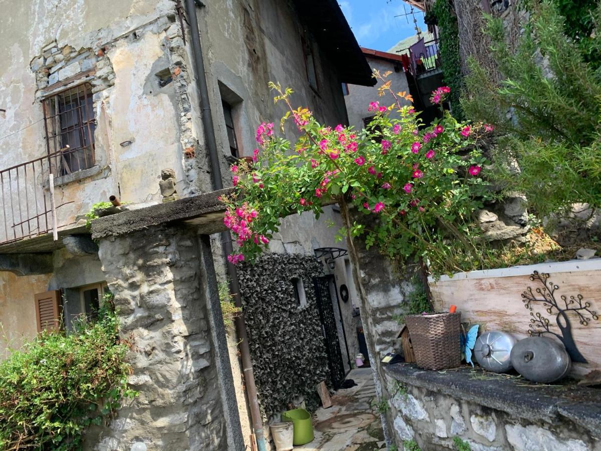 Apartment Casa Dono Il Lago Pognana Lario Exteriér fotografie