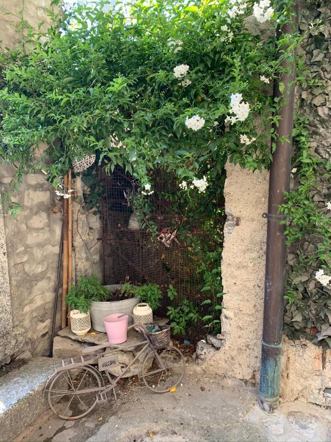 Apartment Casa Dono Il Lago Pognana Lario Exteriér fotografie